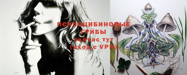 бошки Горнозаводск