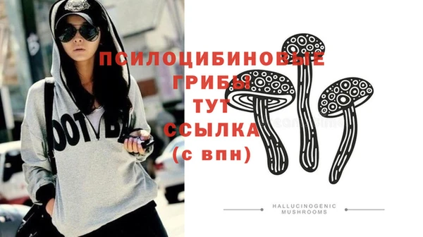 бошки Горнозаводск
