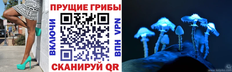 магазин продажи   Одинцово  OMG   Псилоцибиновые грибы MAGIC MUSHROOMS 